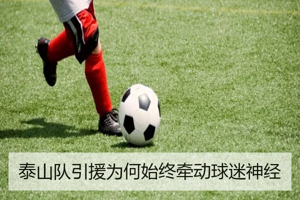 泰山队引援为何始终牵动球迷神经
